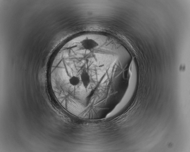 X0000099450531200806061108