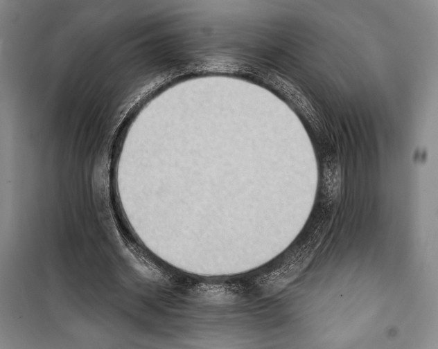 X0000099450534200806061108