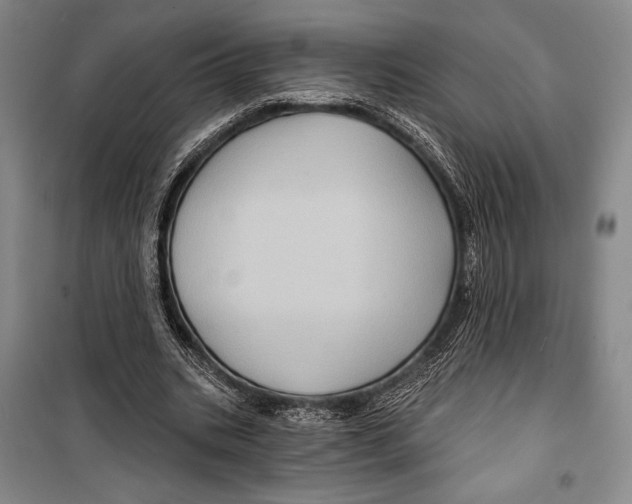 X0000099450535200806061108