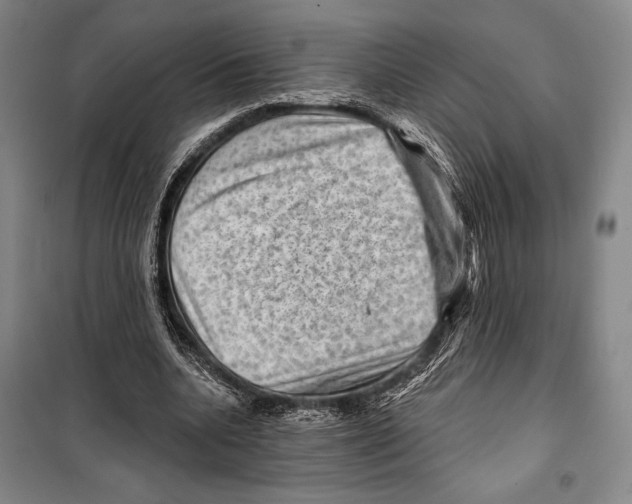 X0000099450536200806061108