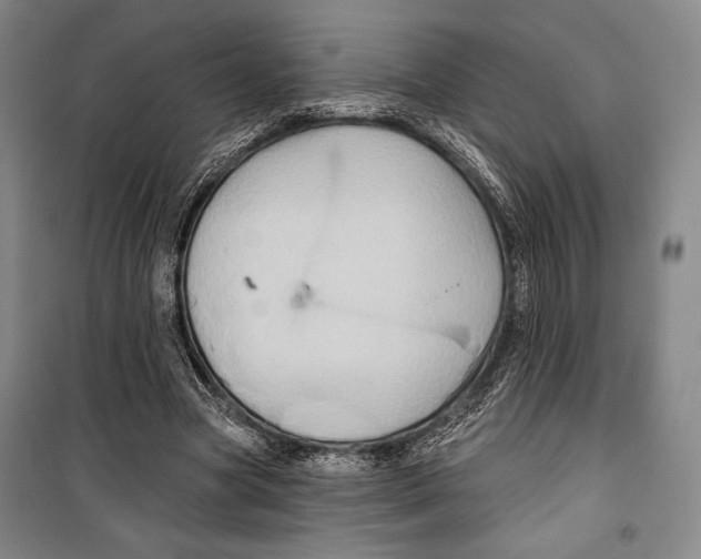 X0000099450537200806061108