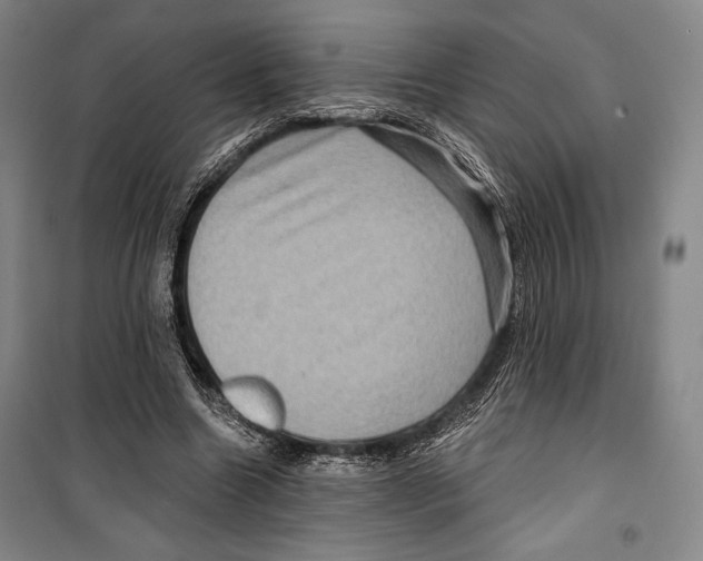 X0000099450538200806061108