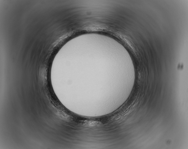 X0000099450539200806061108