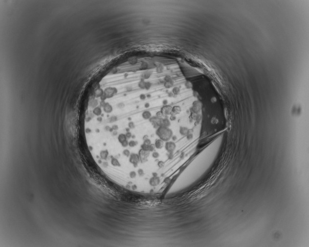 X0000099450540200806061108