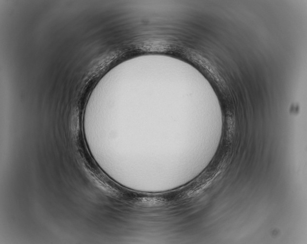 X0000099450541200806061108