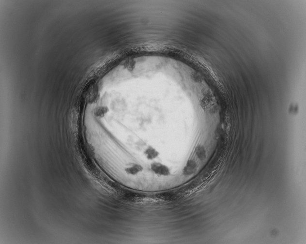 X0000099450542200806061108