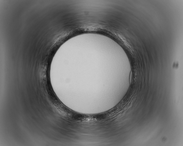 X0000099450543200806061108