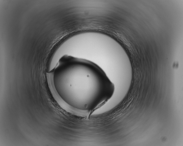 X0000099450544200806061108