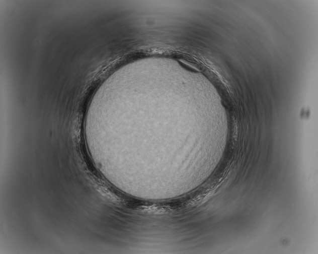 X0000099450545200806061108