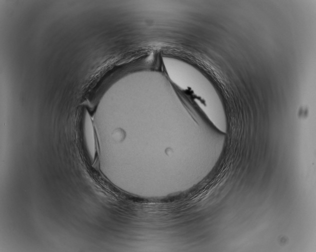 X0000099450546200806061108