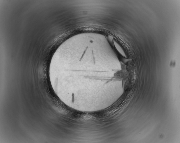 X0000099450547200806061108