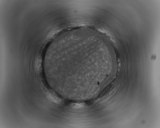 X0000099450548200806061108