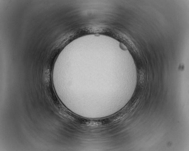 X0000099450549200806061108