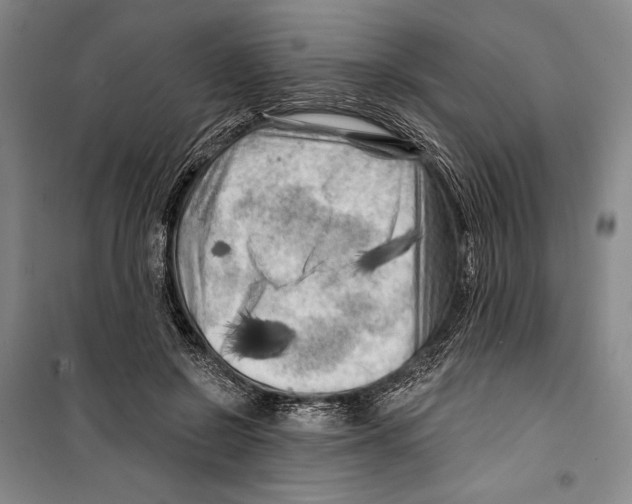 X0000099450550200806061108