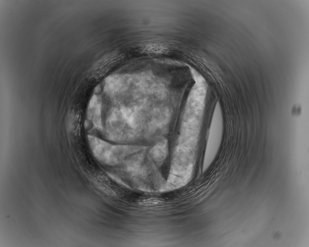 X0000099450551200806061108