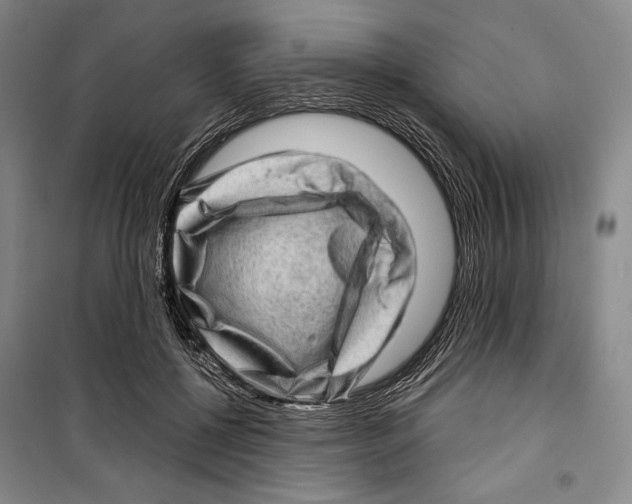 X0000099450552200806061108