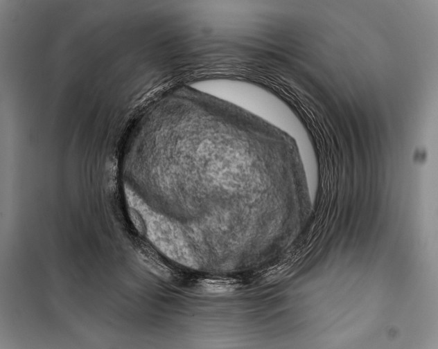 X0000099450556200806061108