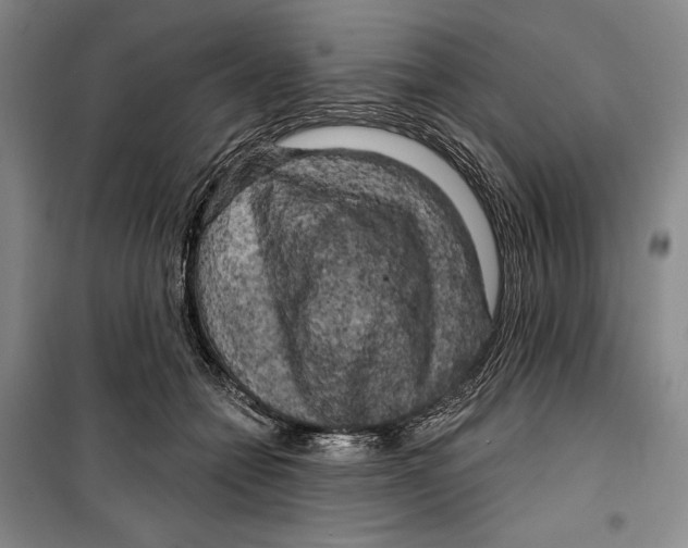 X0000099450558200806061108