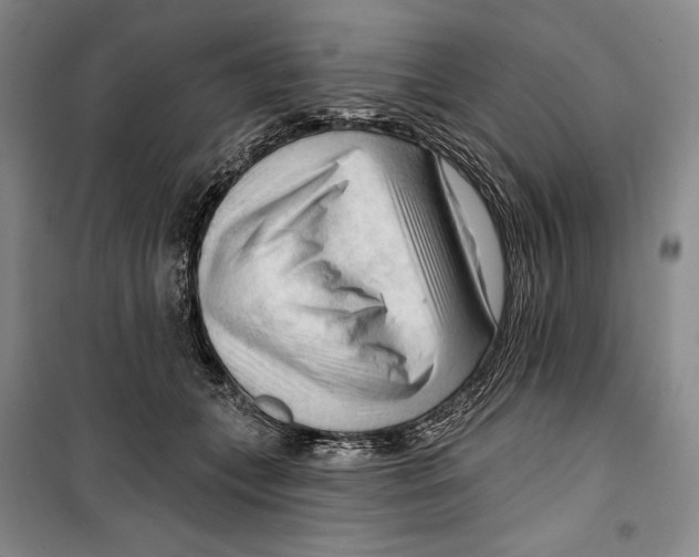 X0000099450559200806061108