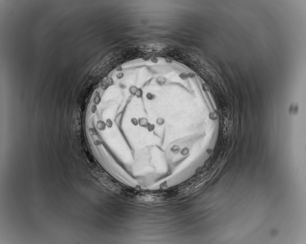 X0000099450561200806061108