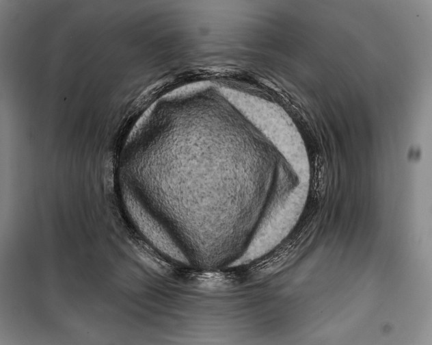 X0000099450562200806061108