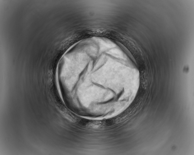 X0000099450563200806061109