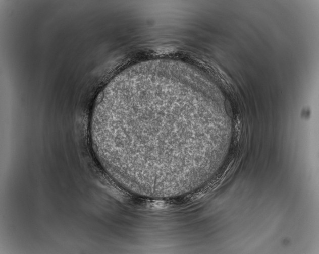 X0000099450565200806061109