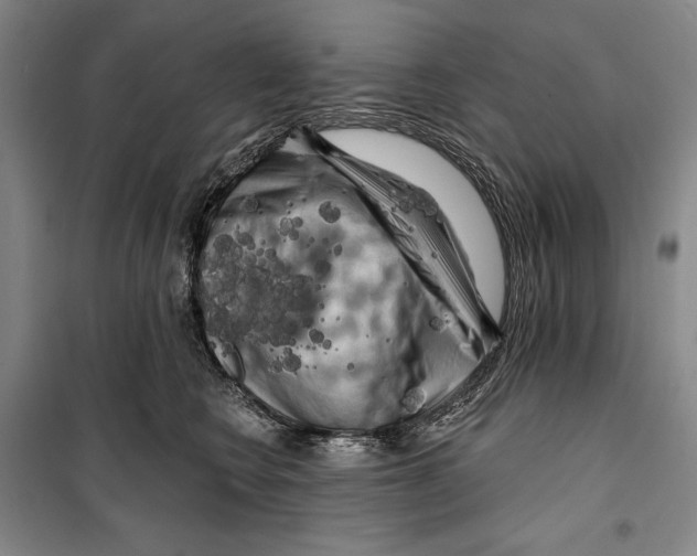 X0000099450566200806061109