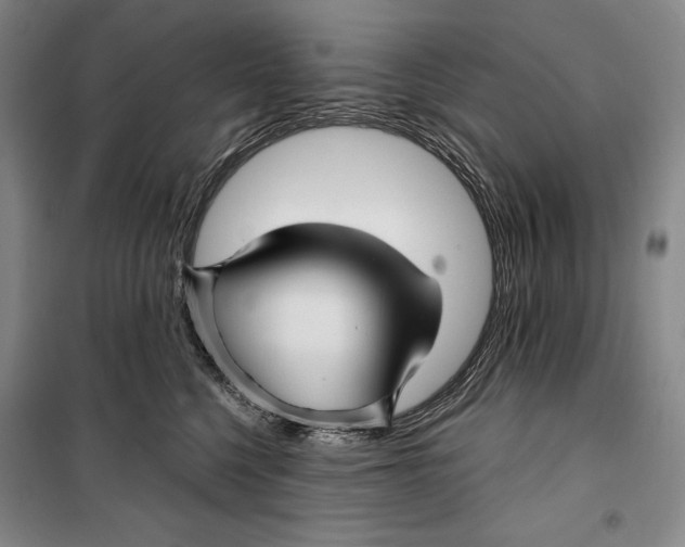 X0000099450568200806061109