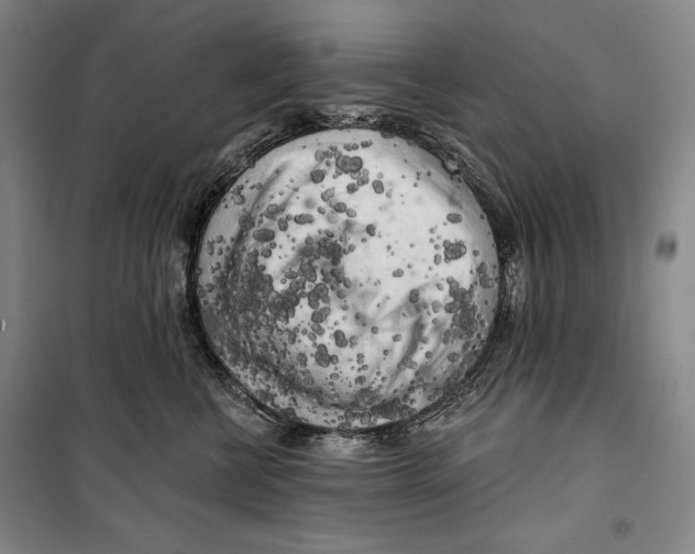 X0000099450570200806061109