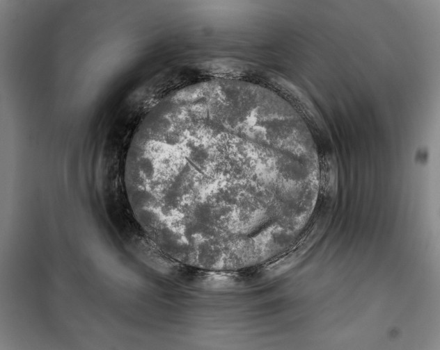 X0000099450573200806061109