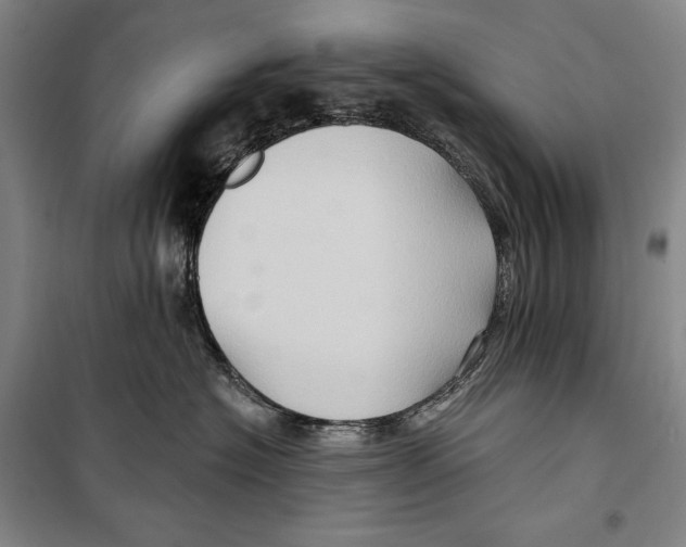 X0000099450574200806061109