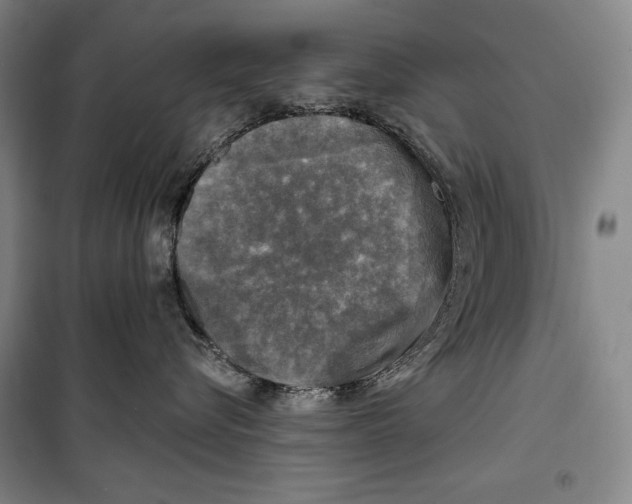 X0000099450576200806061109