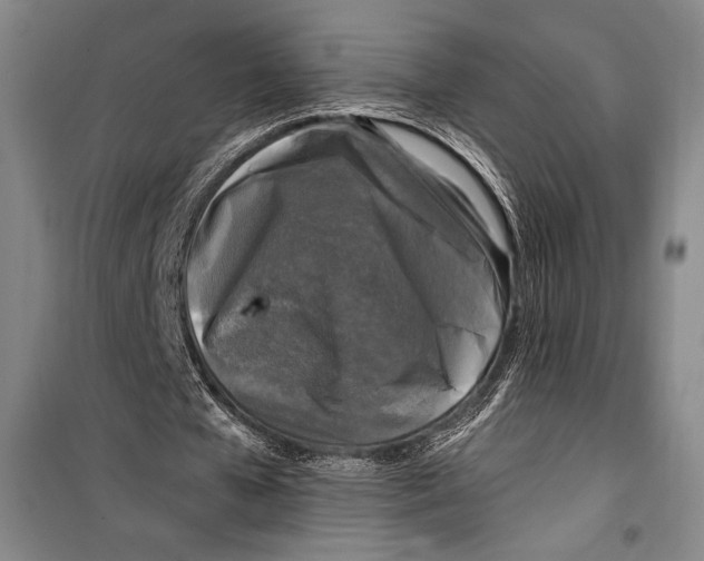 X0000099450577200806061108