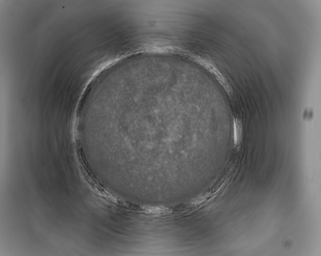 X0000099450579200806061108