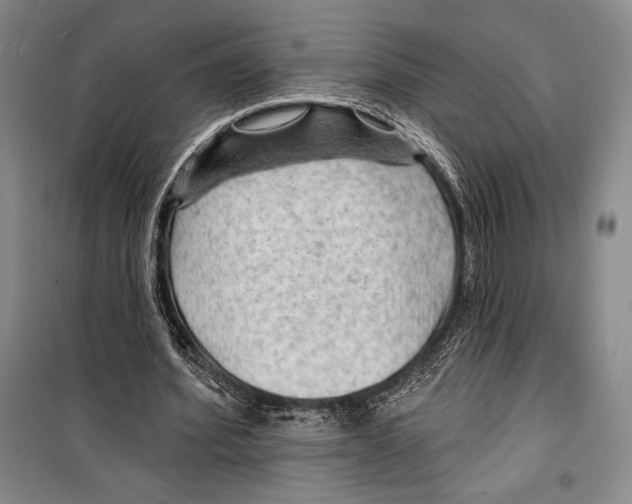 X0000099450580200806061108