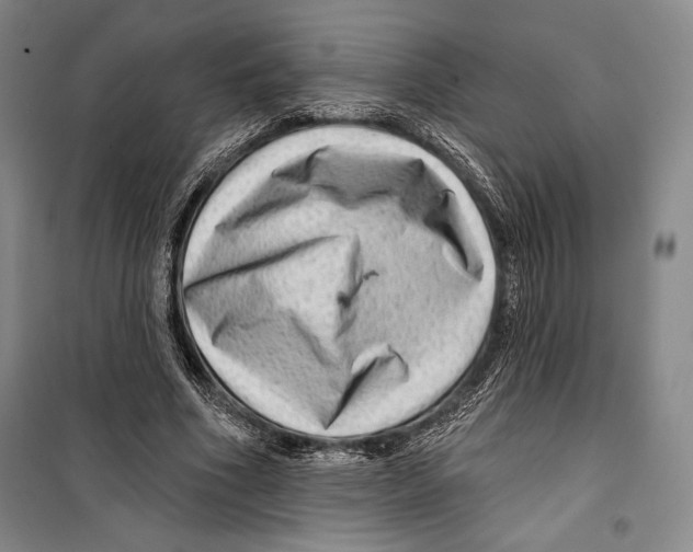 X0000099450586200806061108