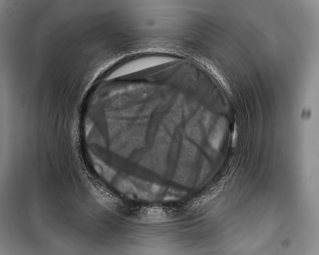 X0000099450588200806061108