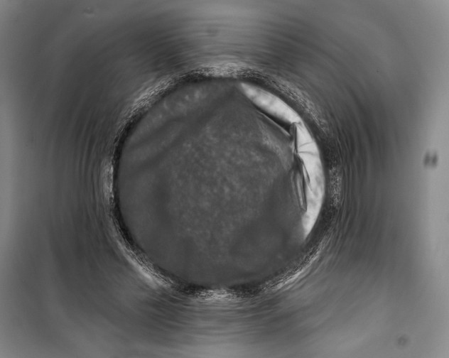 X0000099450589200806061108