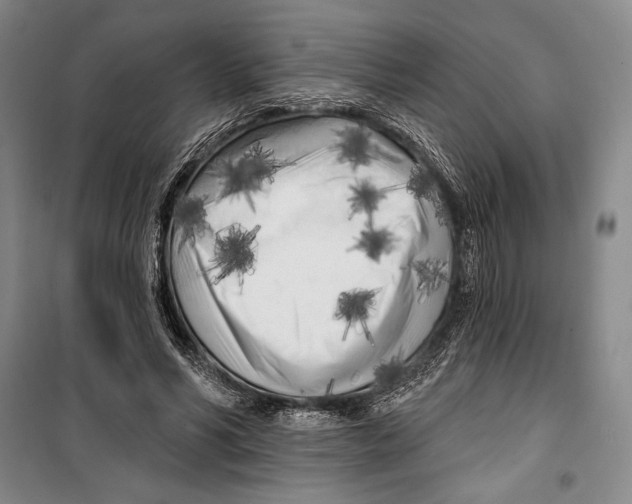 X0000099450590200806061108