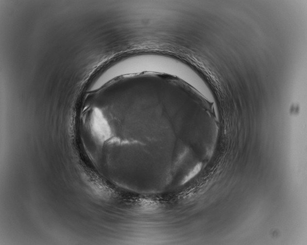 X0000099450592200806061108