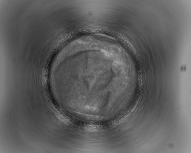 X0000099450593200806061108