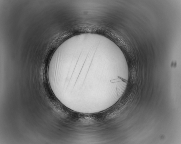 X0000099450594200806061108