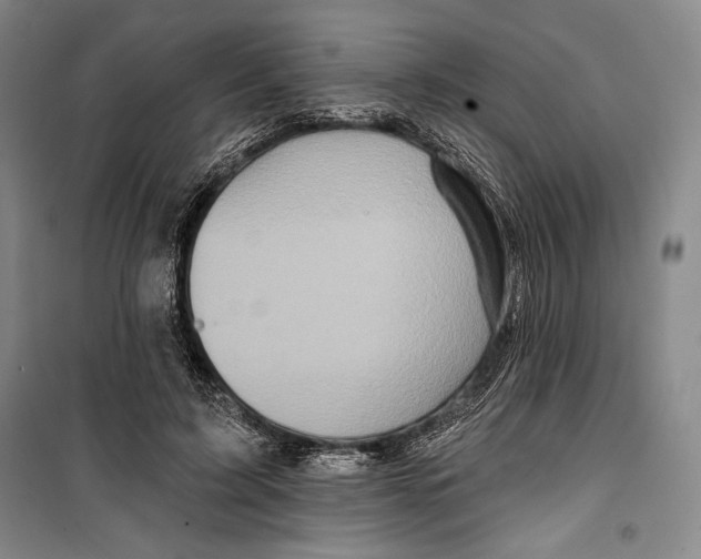 X0000099450595200806061108