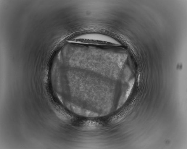 X0000099450596200806061108