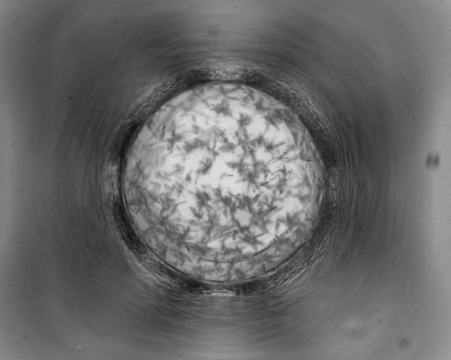 X0000099450598200806061108