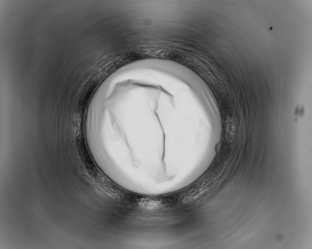 X0000099450602200806061108