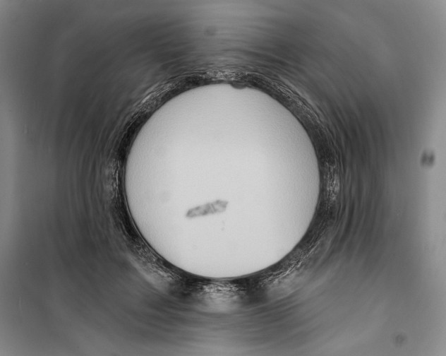 X0000099450603200806061108