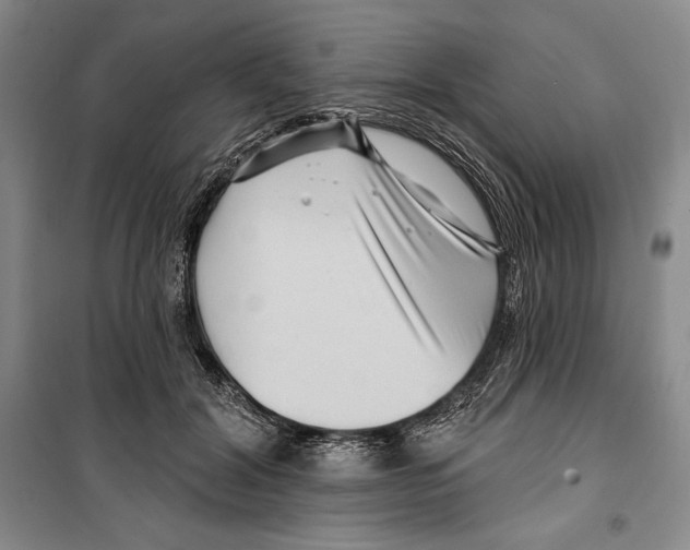 X0000099450604200806061108