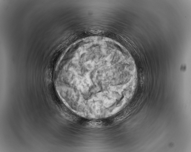 X0000099450606200806061108